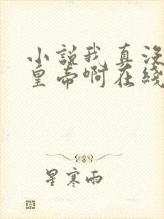 小说我真没想当皇帝啊在线阅读