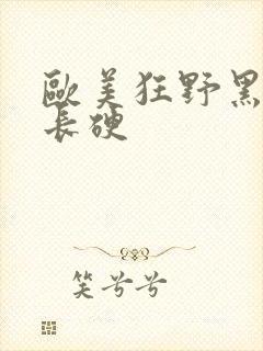 欧美狂野黑人粗长硬