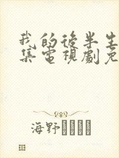 我的后半生42集电视剧免费观看