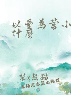 以爱为营小说叫什么