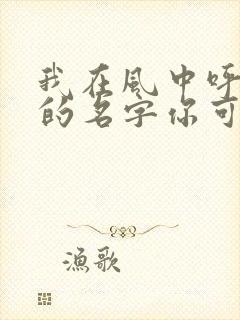 我在风中呼唤你的名字你可曾听见