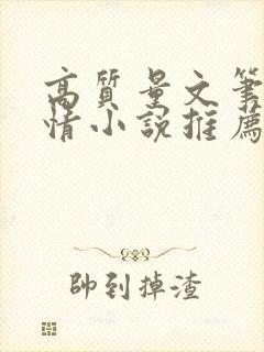 高质量文笔好言情小说推荐