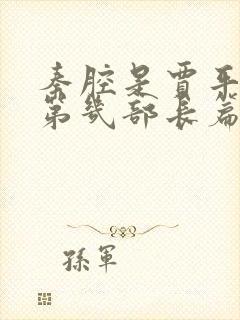 秦腔是贾平凹的第几部长篇小说