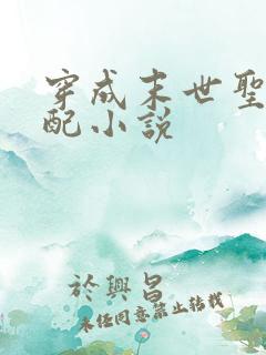 穿成末世圣母女配小说