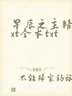 星辰之主精校txt全本txt