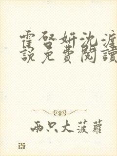 霍启妍沈渡云小说免费阅读最新章节