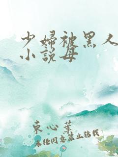 少妇被黑人奸污小说母
