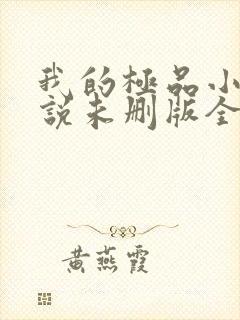 我的极品小姨小说未删版全集