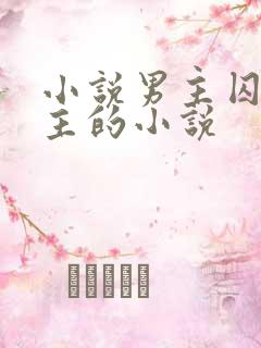 小说男主囚禁女主的小说