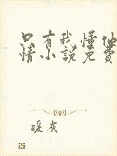 只有我懂他的柔情小说免费阅读