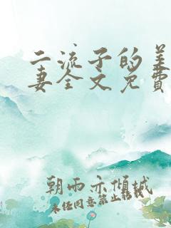 二流子的美貌娇妻全文免费阅读