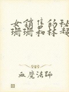 女销售的秘密王珊珊和林超小说最新