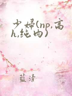 少妇(np,高h,纯肉)