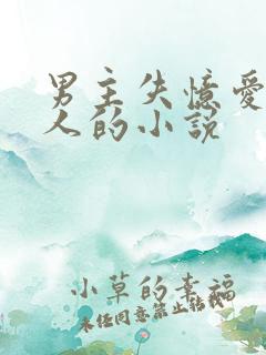 男主失忆爱上别人的小说