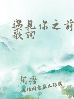 遇见你之前的我歌词