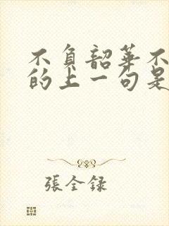 不负韶华不负卿的上一句是什么