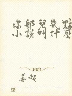 你那儿几点原著小说叫什么