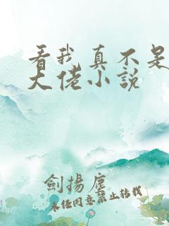 看我真不是女装大佬小说