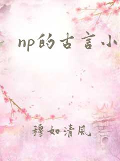 np的古言小说