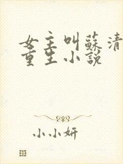 女主叫苏清婉的重生小说