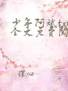 少年阿斌txt全文免费阅读小说
