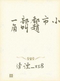 一部都市小说主角叫赵