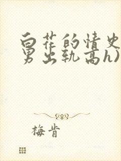 白花的情史2(男出轨高h)》