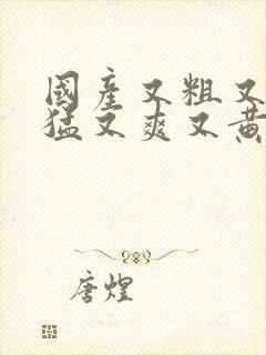 国产又粗又深又猛又爽又黄视频