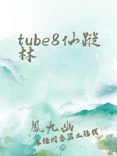 tube8仙踪林