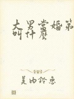 大男当婚第二部叫什么