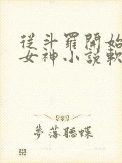 从斗罗开始俘获女神小说软件