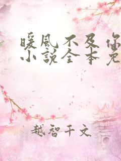 暖风不及你情深小说全本免费下载