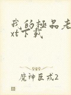 我的极品老婆txt下载