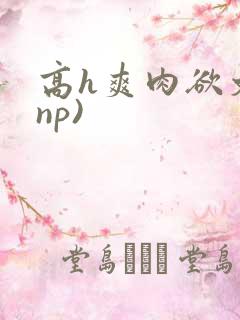 高h爽肉欲文(np)