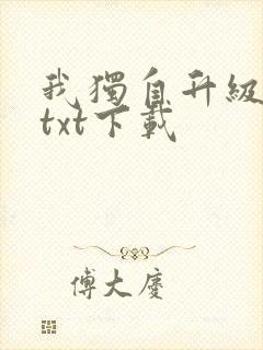 我独自升级原著txt下载