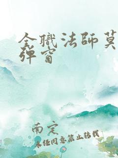 全职法师莫凡无弹窗