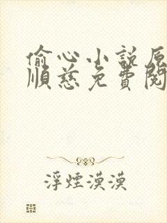 偷心小说原著李顺慈免费阅读