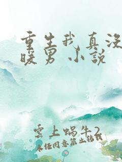 重生我真没想当暖男 小说