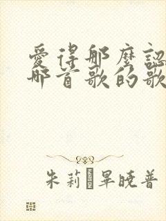 爱得那么认真是哪首歌的歌词