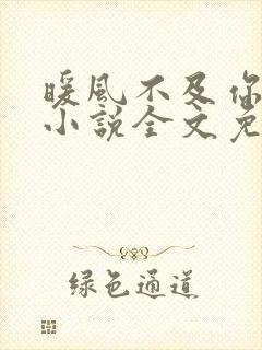 暖风不及你情深小说全文免费阅读全文