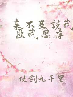 来不及说我爱你 匪我思存