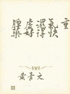 脾虚湿气重吃啥药好得快