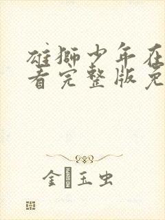 雄狮少年在线观看完整版免费高清