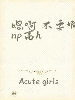 嗯啊 不要啊 np高h