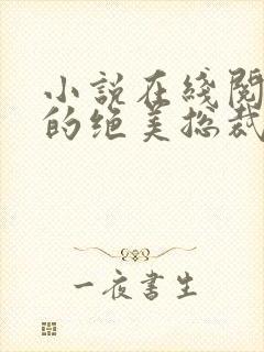 小说在线阅读我的绝美总裁老婆