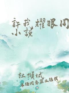 许我耀眼同人文小说