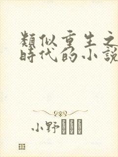 类似重生之完美时代的小说