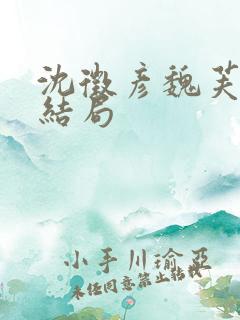 沈徵彦魏芙宜大结局