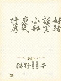 什么小说好看推荐几部完结的言情