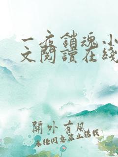 一夜销魂小说全文阅读在线